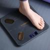 Bear Smart Body Composition Scale (CN Version)