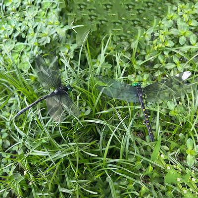 Outdoor Mosquito Repellent Simulation Stick Dragonfly Rope Dragonfly Repellent Artifact Dragonfly Stakes Yard Plant Lawn Decor