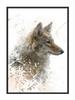 Picture Poster In a Frame 43x33 Cm Wolf P704