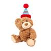 Adorable Bear Teddy Plush Toy Birthday Cap Bear Kids Gift Stuffed Animal Doll