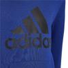 Adidas Childrens/Kids Essentials Hoodie