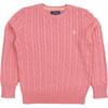Polo Sweater Cable Knit Ribbed Collar Kids Kids Sweater 323702674-506