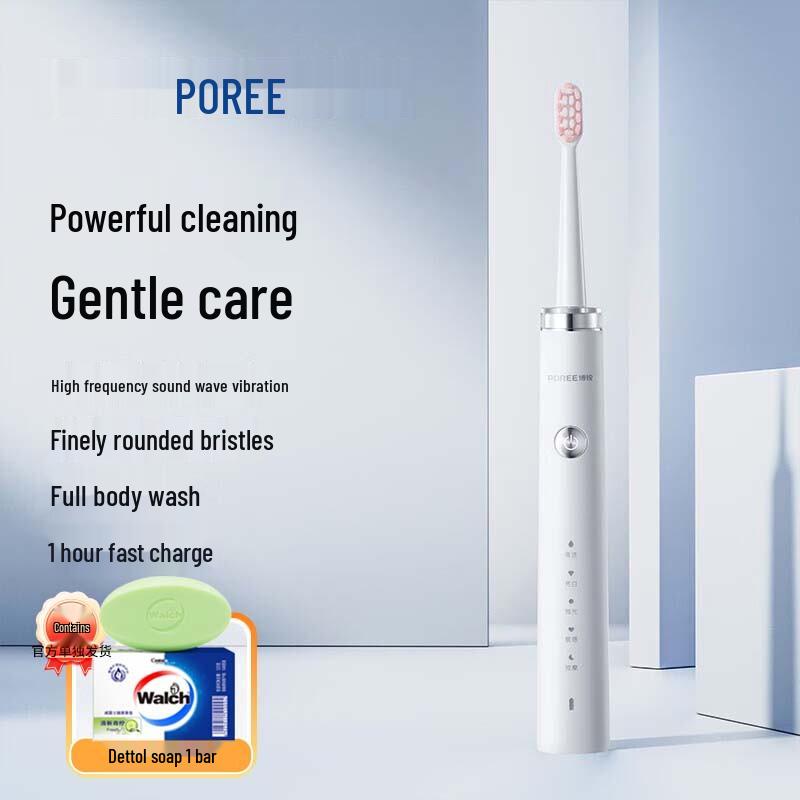 

FLYCO BORUI PT1701 Sonic Electric Toothbrush