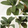 Real Touch Artificial Magnolia Leaf Plant 75cm Green Plants Fake Magnolia Plant  Wedding Decor