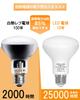 ORALUCE LED Light Bulbs, E26 Base, Reflector Type, Warm White, 100W Equivalent, 10W, 1020lm, 3000K, 120-Degree Downward Angle, Non-Dimmable, PSE