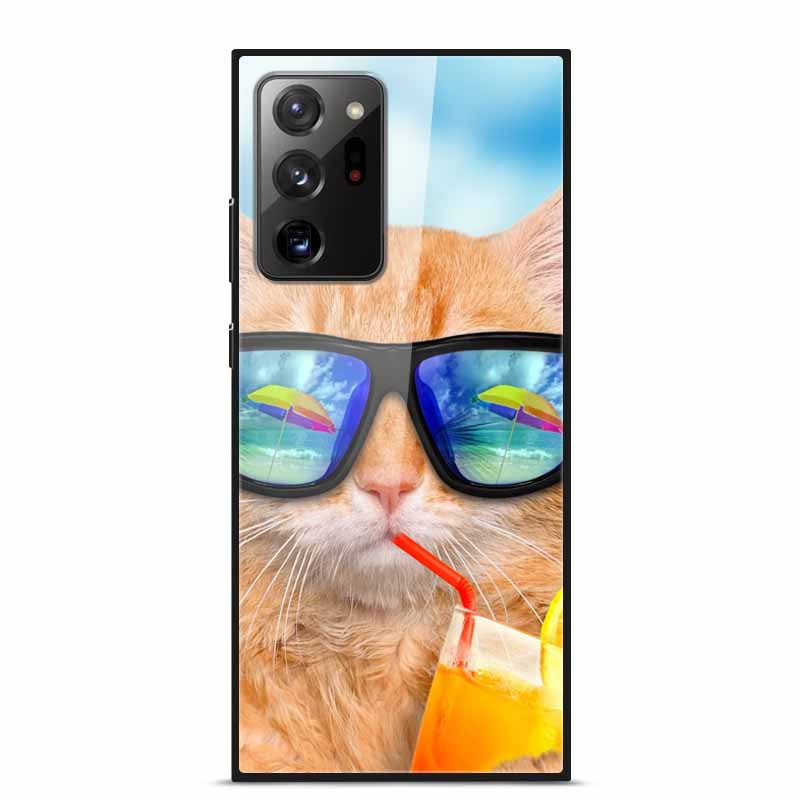 Glass Back Cover For Samsung Note 20 Ultra Case Tempered Glass Case For Samsung Galaxy S21 Ultra Case S 21 Note20 Ultra Funda