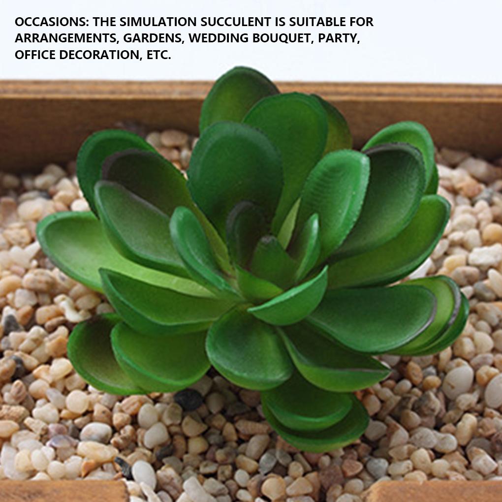 12 Stück Künstliche Sukkulente Topfpflanzen Dekorative Simulationspflanzen Party Realistische Sukkulenten Balkon Geschenk Farbe Zufällig