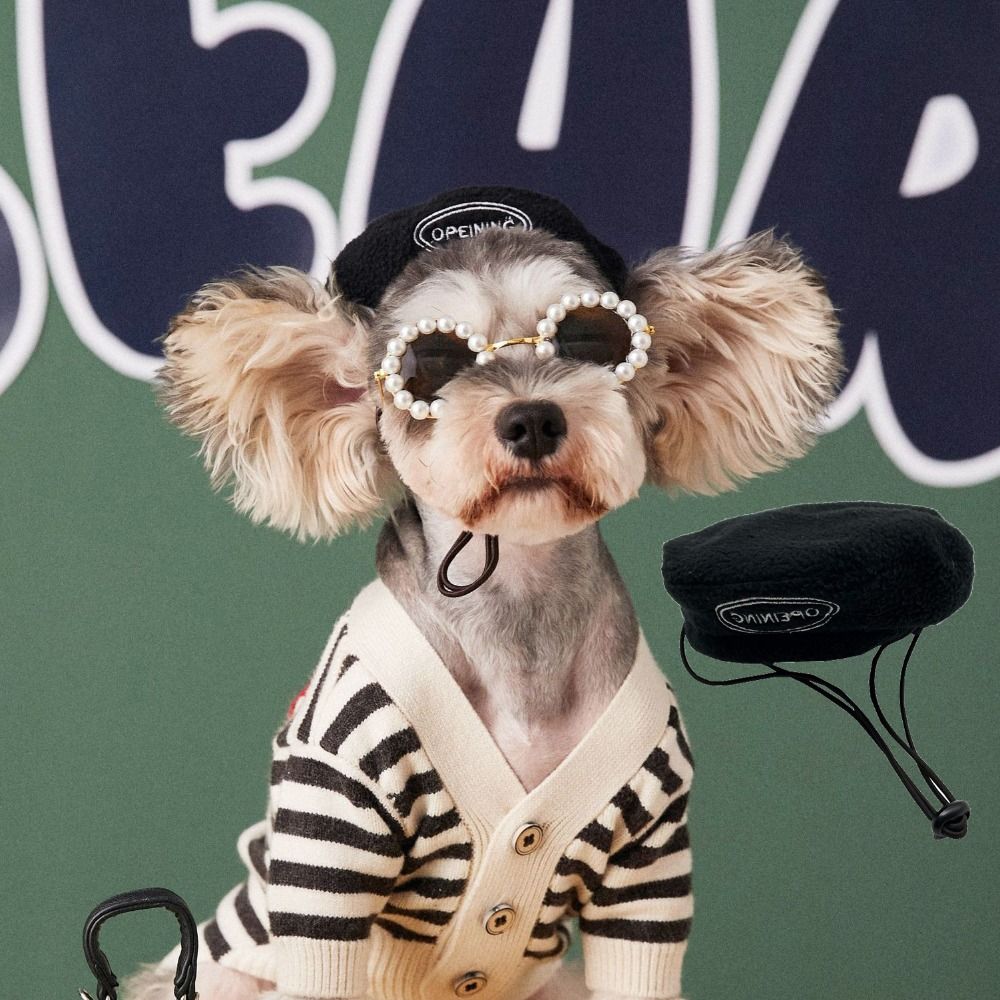 Pet Accessories Fashion Beret Decorative Hat Solid Round Hat Outdoor Shooting of Small Cat Dog Doll Hat Beautiful Head Ornament