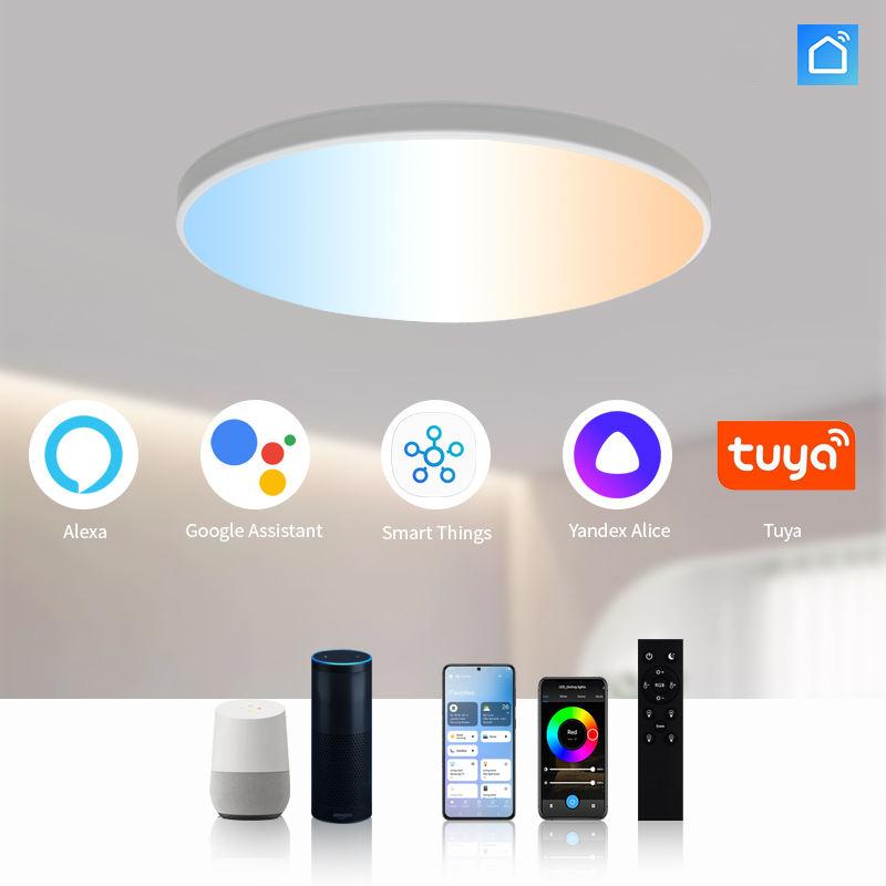 APP Controlled Smart LED Ceiling Light 24W RGB Tunable White AC 220V Modern Design for Home Bedroom Living Room Lighting