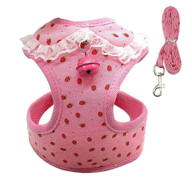 Soft Padded Dog Harness With Easy Hook And Loop Closure For Small And Medium Dogs