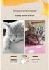 Electric Cat Whack-a-Mole Cheese Box: Interactive Feather Teaser Toy for Self-Entertainment and Energy Relief