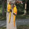 Golden Macaw Pendant Garden Sculpture - Resin Bird Home Décor