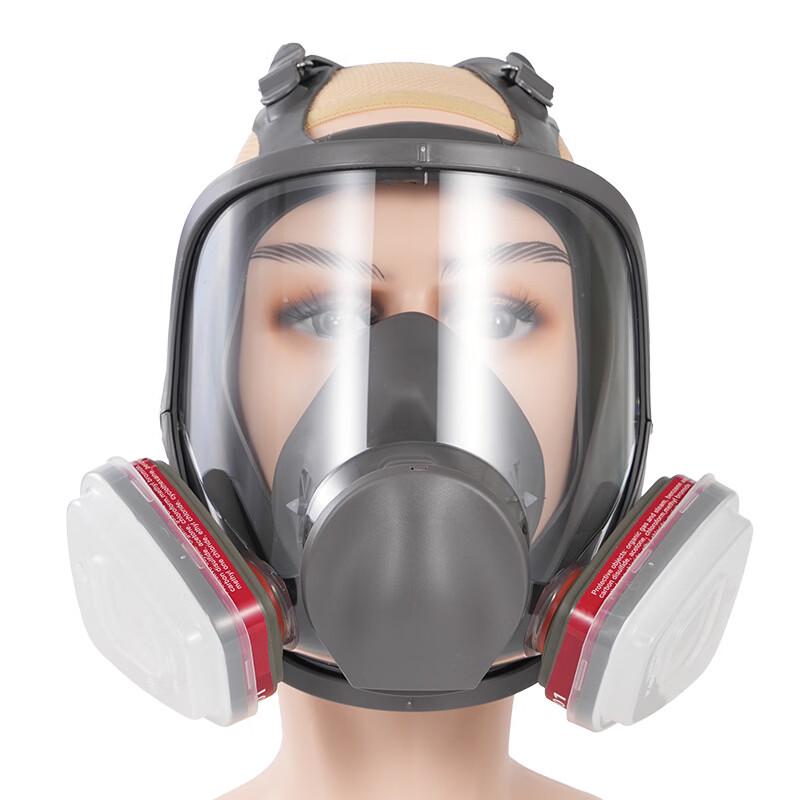 Lieve 6800 Full-Face Gas Mask