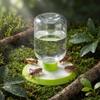 Clear Bottle Reservoir Insect Water Dispenser Perforated Base Insect Waterer  Daily Hydration