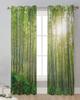 Green Bamboo Forest Sunlight Sheer Curtains for Living Room Decoration Window Curtains for Kitchen Tulle Voile Organza Curtains