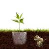 Root Guard Baskets Plant Wire Speed Baskets Animal Cages Plant Baskets for Plant Berries Vegetables Root Protect
