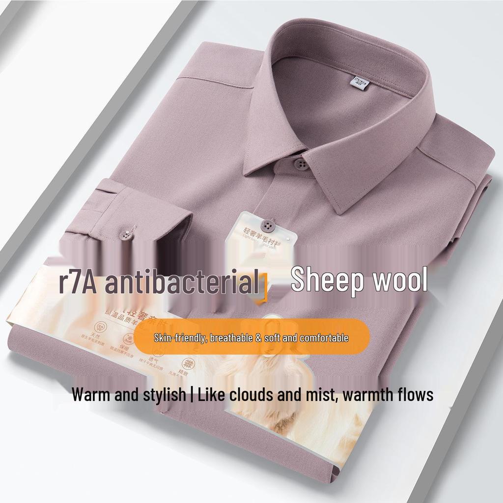 2026 Men's Antibacterial Non-Iron Long Sleeve Shirt - High-End, Simple Fashion for Work and Leisure