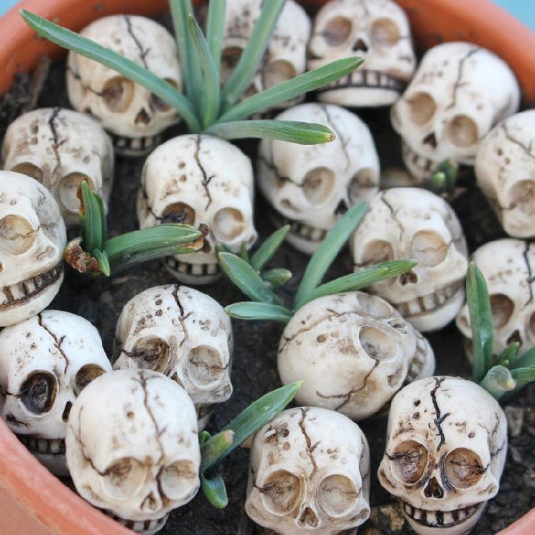 Set di 20 Decorazioni Teschio in Resina Props Miniatura Versatili per Halloween Case Infestate e Feste a Tema