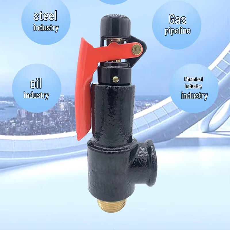 Jingfan Spring-Loaded Safety Valve