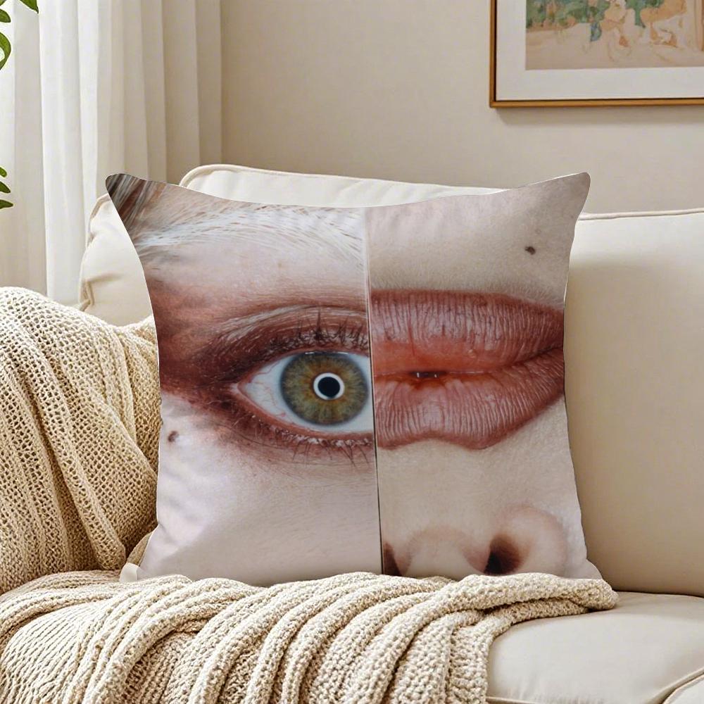 Mayhem Pop American Singer LLady Gaga Cushion Cover Pillowcase Antidustmite Living Room Sofa Decor Cushion Room