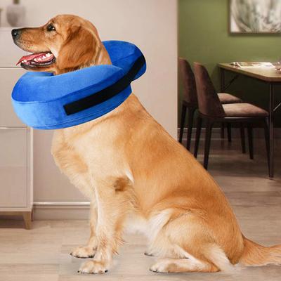 Hunde – Varer til hundepleje
