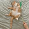 Pet Cat Toy Stick Cat Teaser Stick Indoor Cat Toy Replaceable Feather Head Feather Rod Cat Paly Toys