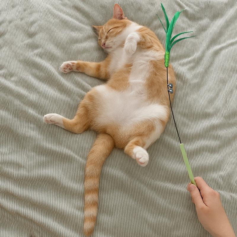 Pet Cat Toy Stick Cat Teaser Stick Indoor Cat Toy Replaceable Feather Head Feather Rod Cat Paly Toys