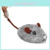 Mouse Simulation Electric Cat Dog Pet Entertainment Toy With Function Sound
