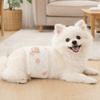 Breathable Pet Dog Diaper Adjustable Sanitary Underwear Reusable Pet Sanitary Pants  Pet Cat