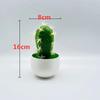 Artificial Cactus Simulated Green Plants Desktop Potted Indoor Decoration