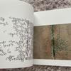 [USED] CALLIGRAPHY Denise Lach Denise Lach Foreign Books