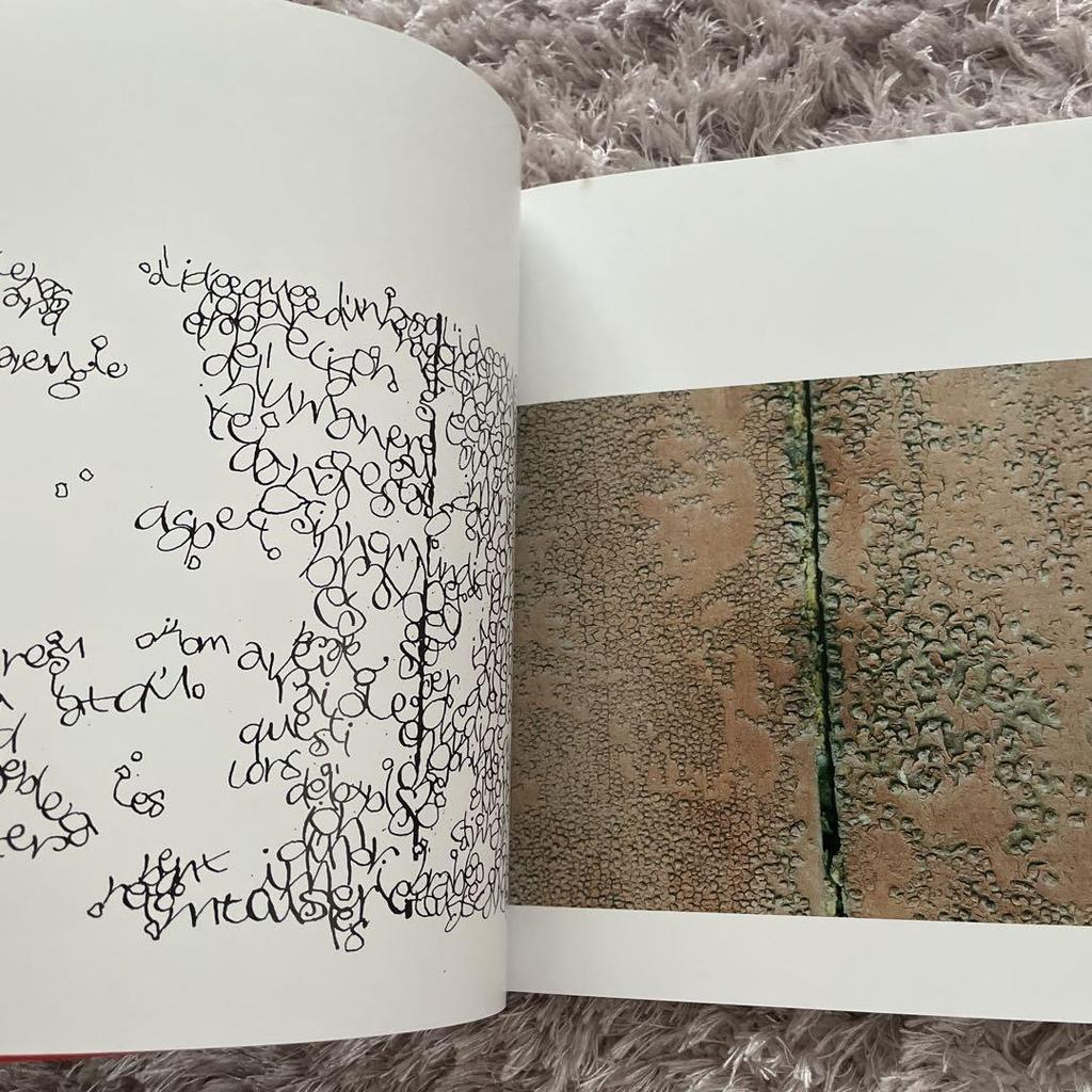 [USED] CALLIGRAPHY Denise Lach Denise Lach Foreign Books