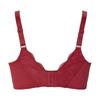 Venus Full Cup Bra Wide Side Wings Vbrq863abc
