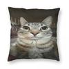 Cat Looking Directly At You Square Pillowcase Polyester Linen Velvet Creative Zip Decorative Bed Cushion Case