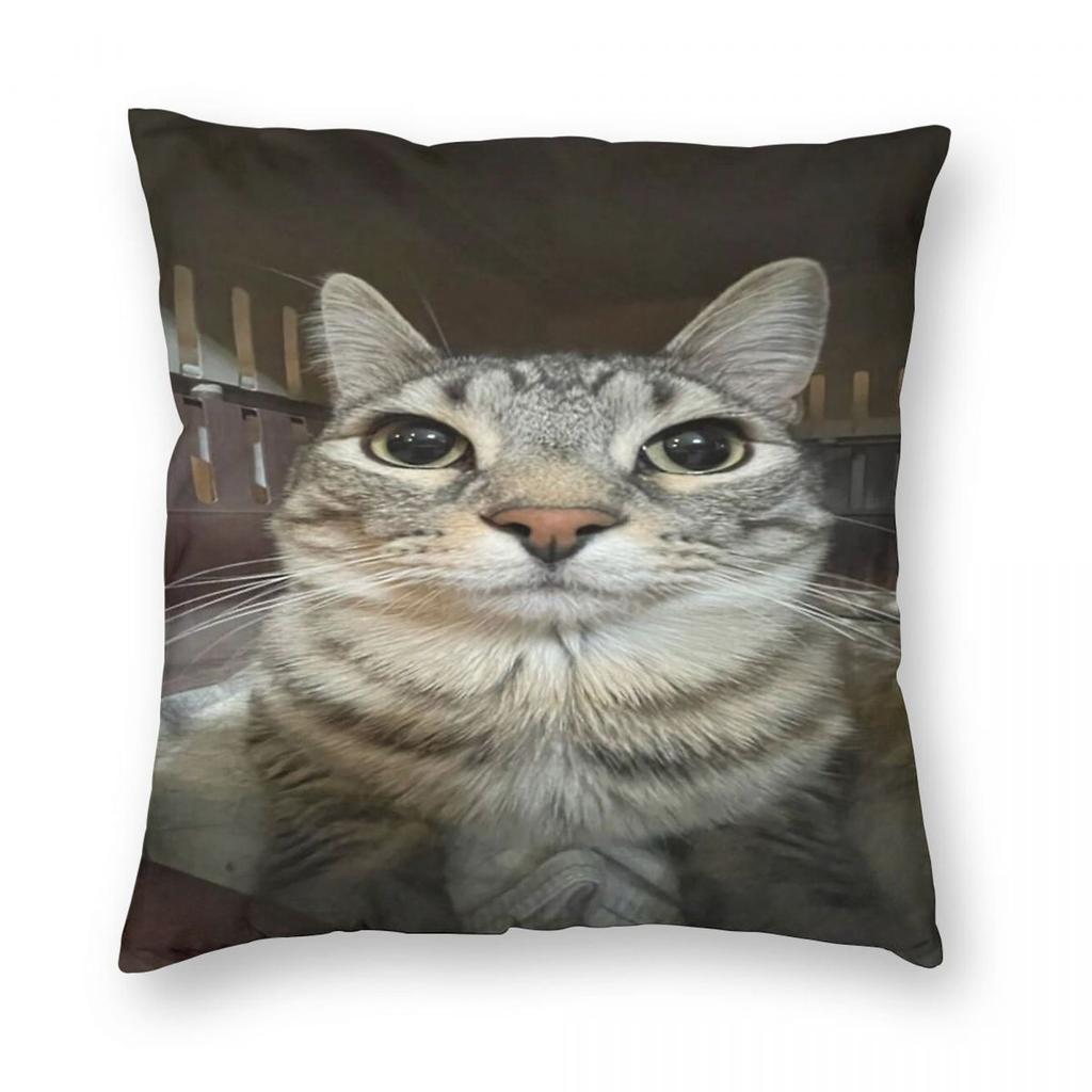 Cat Looking Directly At You Square Pillowcase Polyester Linen Velvet Creative Zip Decorative Bed Cushion Case