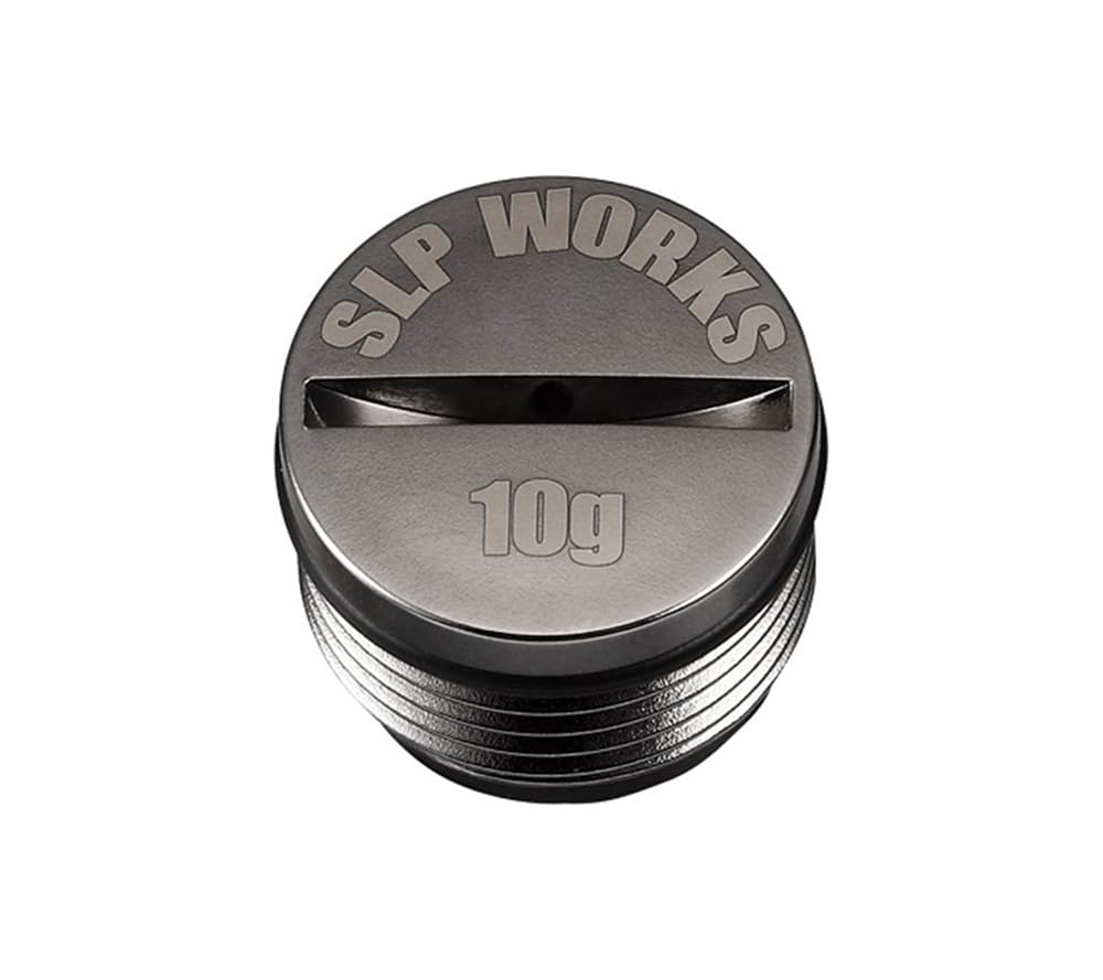 DAIWA SLP WORKS Balancer Bottom Plug Stainless 10g
