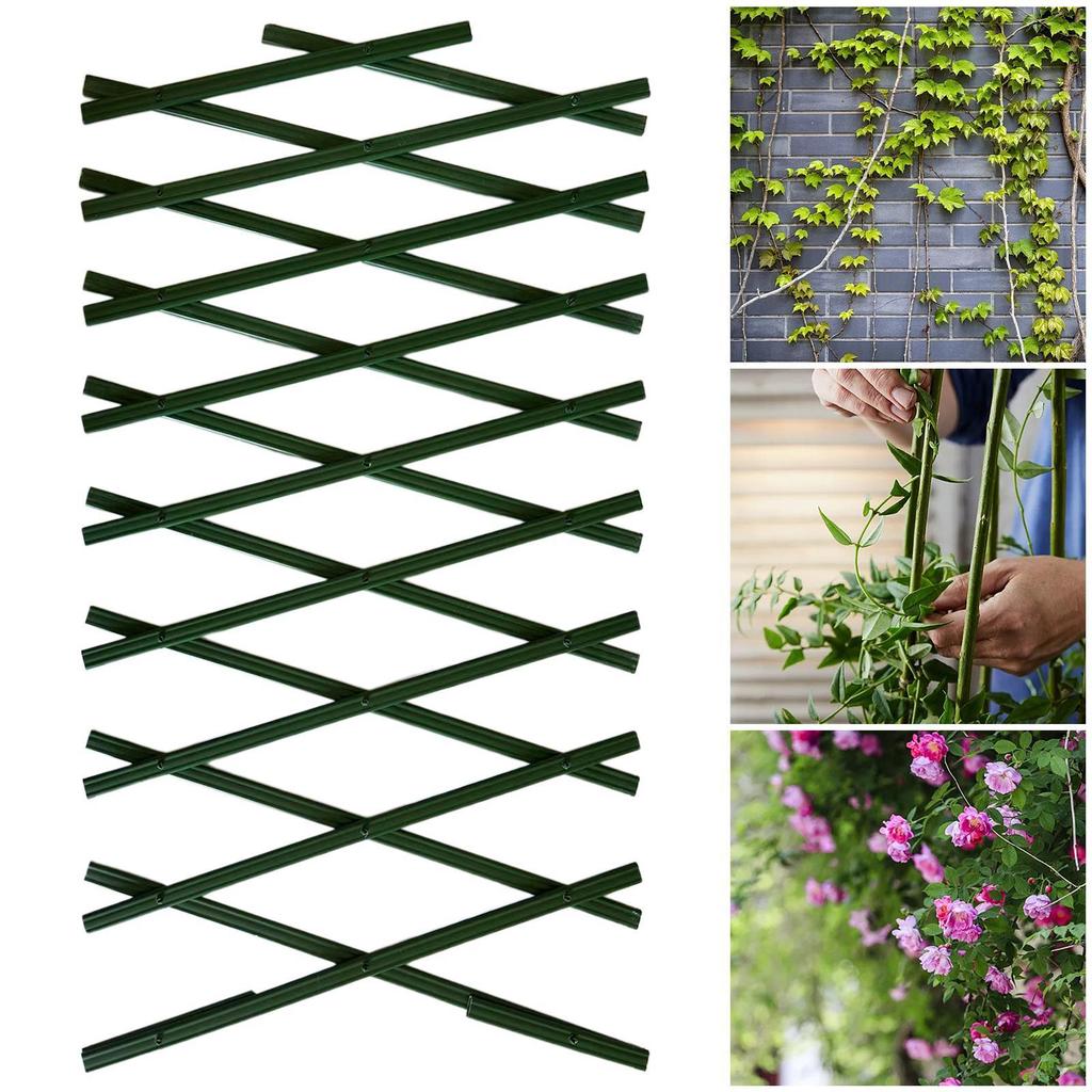 Hedge Lattice Trellis Wall Fence Garden Expanding Trellis Expandable Trellises Plastic Riveted for Climbing Plants Support