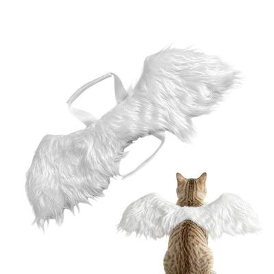 Giyim ve ayakkabı – Köpek Aksesuarları