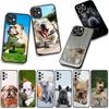 Phone Cover Pet Lovely France Bulldog Dog Casing for Xiaomi Redmi Note 15 11 9 10 Pro Plus A5 9A 9T 10A 10C 9C NFC 15C 8T Case