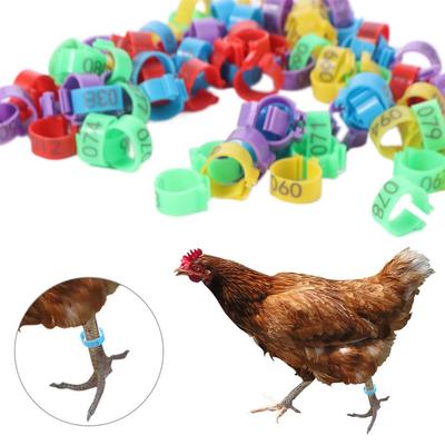 100pcs Portable Poultry Leg Tags Mixed Colour Plastic Poultry Ankle Bands 16/20mm with Number Letter Band Foot Ring