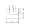 Satin Brass Latch Padlock Ktd60 - Mp Klo Ktd60
