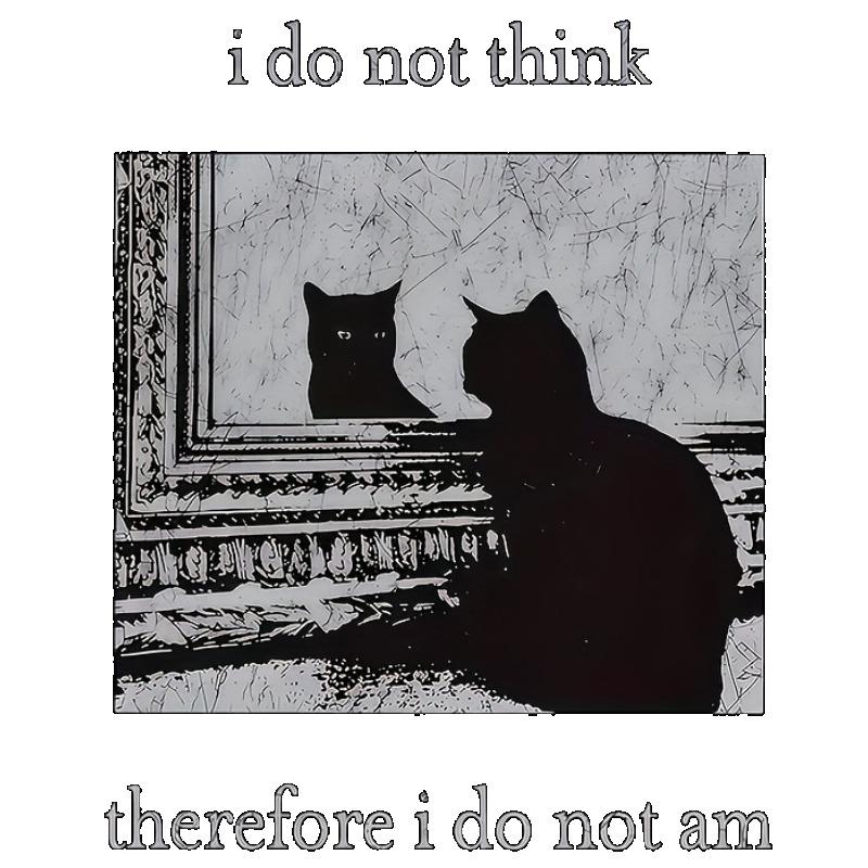 Oversized T Shirt Black Cat Graphic Print I Do Not Think Therefore I Do Not Am Text Design Casual Streetwear Fashion Women Summer Top