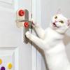 Portable Door Stopper Security Lock for Home Hotel -Theft Door Blocker Women Travel