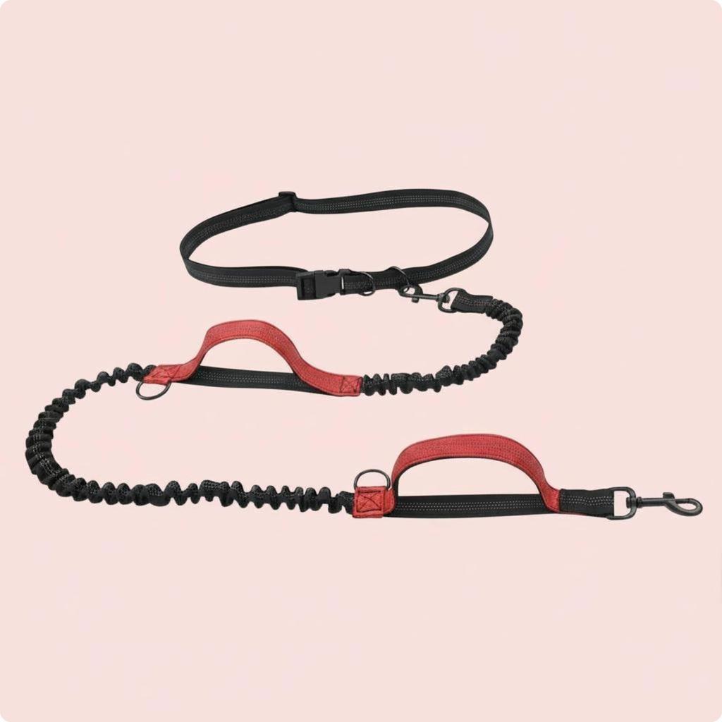 Double Bungee Leash Elastic Running Reflective Stitching for Runners