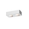 Oeny Dual-Head Recessed Spotlight