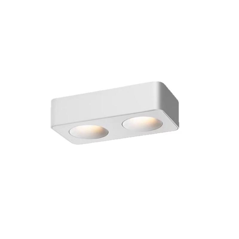 Oeny Dual-Head Recessed Spotlight