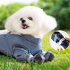 Mode Hond Beenbeschermer Broek Waterbestendig Stof Dicht Voetbedekker Broek Voor Kleine Rassen Wandelen Training
