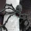1Pcs Giant Spider and Web Spider Halloween Decoration Set, Outdoor Scary Props, Suitable for Parties, Terrifying Fake Spider - Hanging De