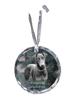 Dobermann, Doberman Pinscher, Dobie I - Crystal Bauble with a Photo, Dog Photo In Crystal, Personalized Christmas Tree Ornament by Brand