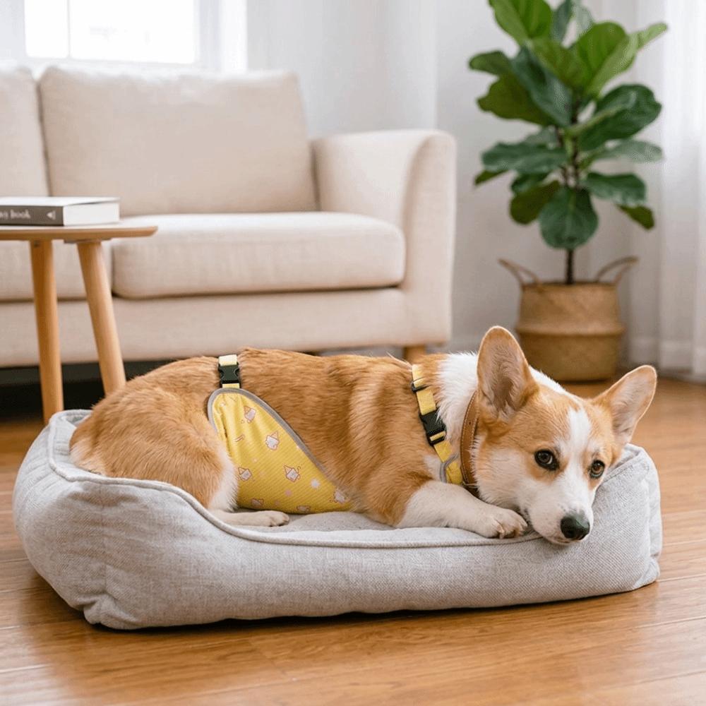 Water Repellent Dog Belly Vest Soft Lining Dog Abdomen Clothes Dog Warmer Bib  All Season Wear S-Female Dog Style